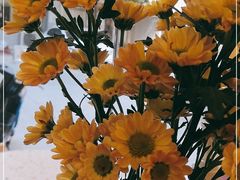 -Cafe on warm(丹霞店)