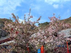 -泰山风景名胜区