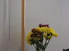 -龙猫意杯花园餐厅(芙蓉湖店)