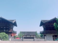 -大唐贡茶院