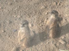 -广东花都香草世界旅游度假区