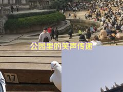 -音乐台