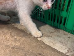 -四川大学(华西校区)