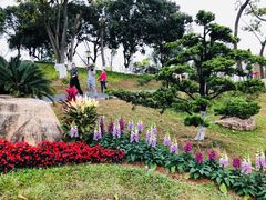 -东莞植物园