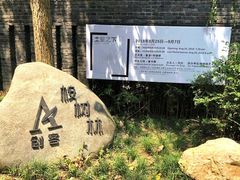 -桉树林A coffee 森林餐厅(三圣乡店)