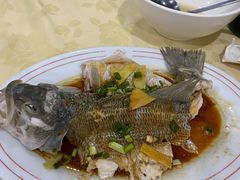 清蒸鲈鱼-电白鸭粥店(下沙二坊88号店)