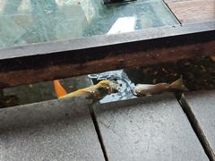 -颐和•海鲜砂锅粥•啫啫煲(奥林匹克广场店)