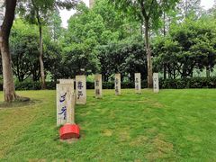 -陈家山荷花公园