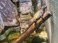 -上海大自然野生昆虫馆(东方明珠·爬宠昆虫探索中心)