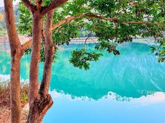 -水濂山森林公园