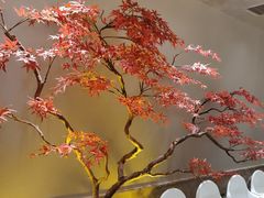 -董家大院·京味家常菜(朝丰家园店)