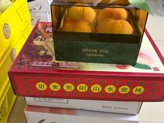 -老袁家蜜桃农场·阳山水蜜桃