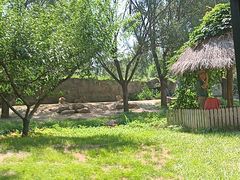 -北京野生动物园