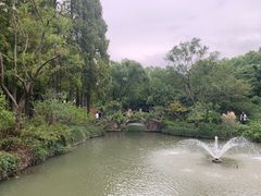 -上海醉白池公园