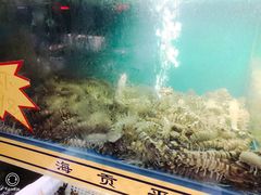 -海贡平价海鲜超市