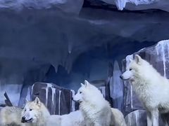 -多彩贵州城极地海洋世界