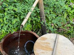 -西湖风景区-江洋畈生态公园