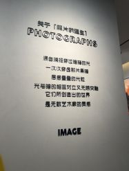 -大树儿童摄影