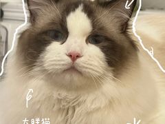 -达爱动物医院·犬猫分区·CT·复杂眼科(远洋山水分院)