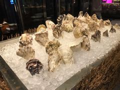 生蚝刺身-广州富力君悦大酒店·凯菲厅