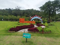 -野狸岛