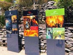 -怀托摩萤火虫洞