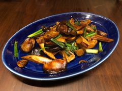 青城山炒香菌-君悦酒店·1881·北京烤鸭