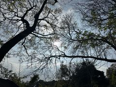 -点都德(广州白云山景区南门店)