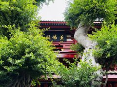 -叩齿古寺