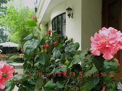 -老洋房花园饭店(绍兴路店)