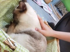 -大悦城(沈阳中街店)