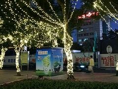 -巫记鸡饭店