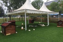 -萌宠亲子动物乐园(槐房万达店)