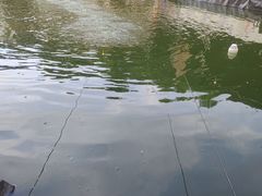 -DGE季风钓虾营地·团建·聚会