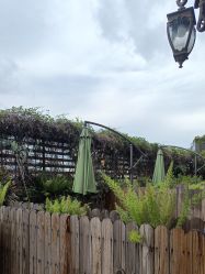 -爱贝乐妈咪月子中心