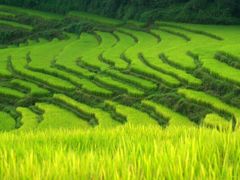 -牛鱼嘴原始生态风景区