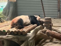 -常州淹城野生动物世界