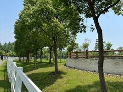 -上海海湾国家森林公园