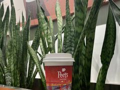 -Peet's Coffee皮爷咖啡(德基店)