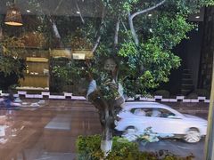-野菌皇海景野生菌火锅(滨海大道店)