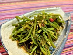-香巴拉云南餐厅(华莱坞店)