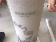 双蛋小皇椰（白屁屁）-茶力的小怪兽(梅林卓悦汇店)