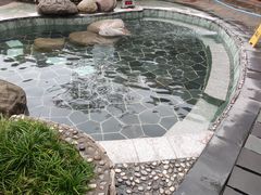 -雅安楠水阁温泉酒店