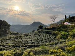 -杨家堂村