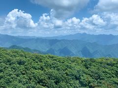 -牛背梁国家森林公园
