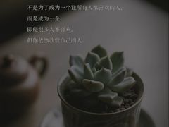 -曼朗心理咨询·旗舰店