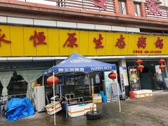 -蚝专家