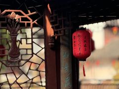 -上海醉白池公园