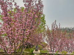 -静之湖度假区