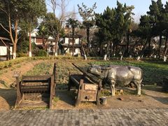 景点-朱家角课植园